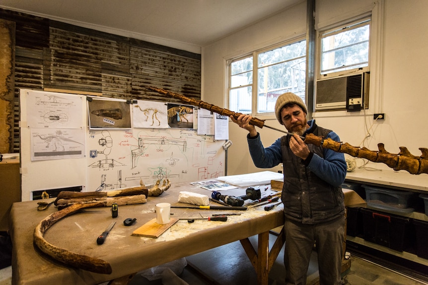 Museum preparator and taxidermist, Castlemaine's Ewin Wood constructing the tail of the Muttaburrasaurus.