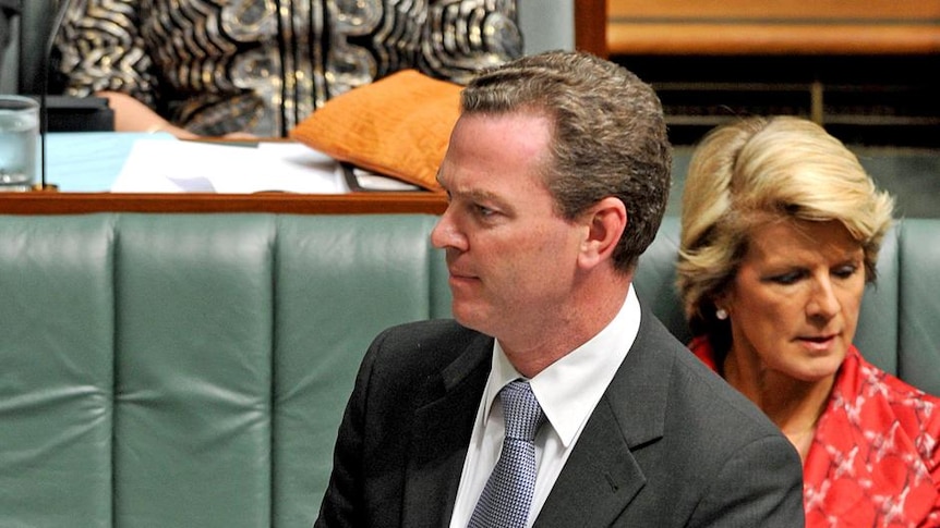 Christopher Pyne frowns as he stands in Parliament