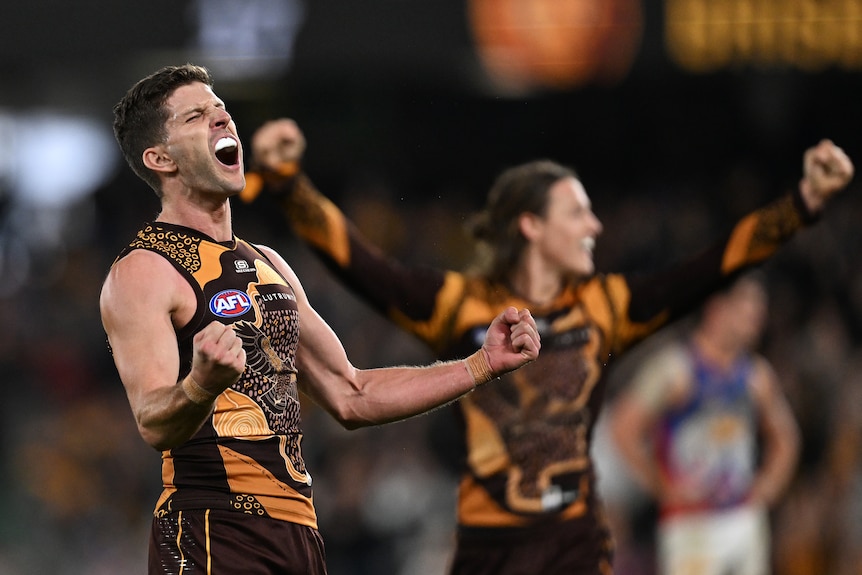 Luke Breust celebrates a goal for the Hawks in their AFL win over the Lions.