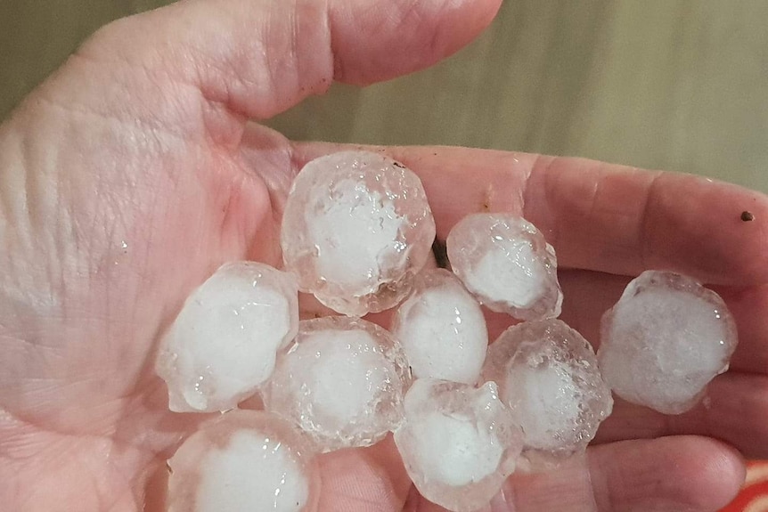 A close up of a hand holding hail the size of large olives.