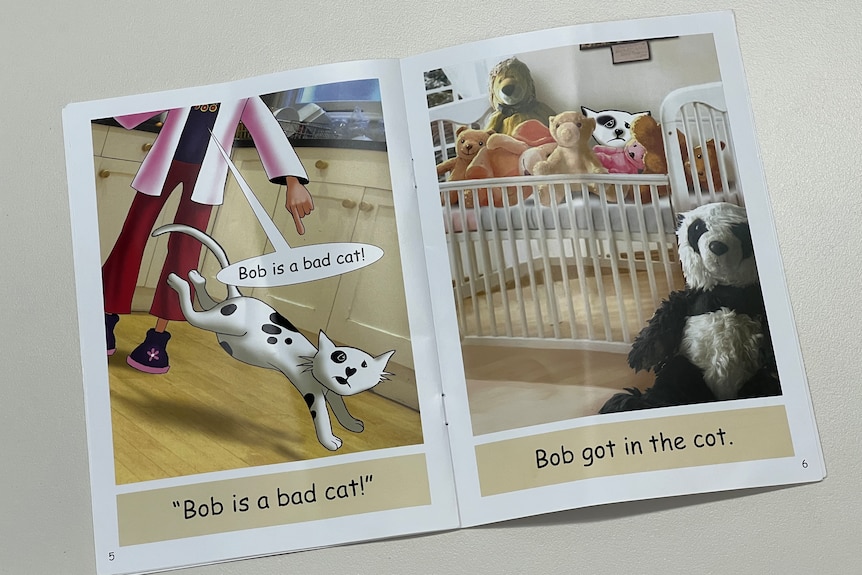 An open picture book with very simple sentences.