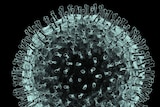 中国已有一百多人因冠状病毒而死亡。