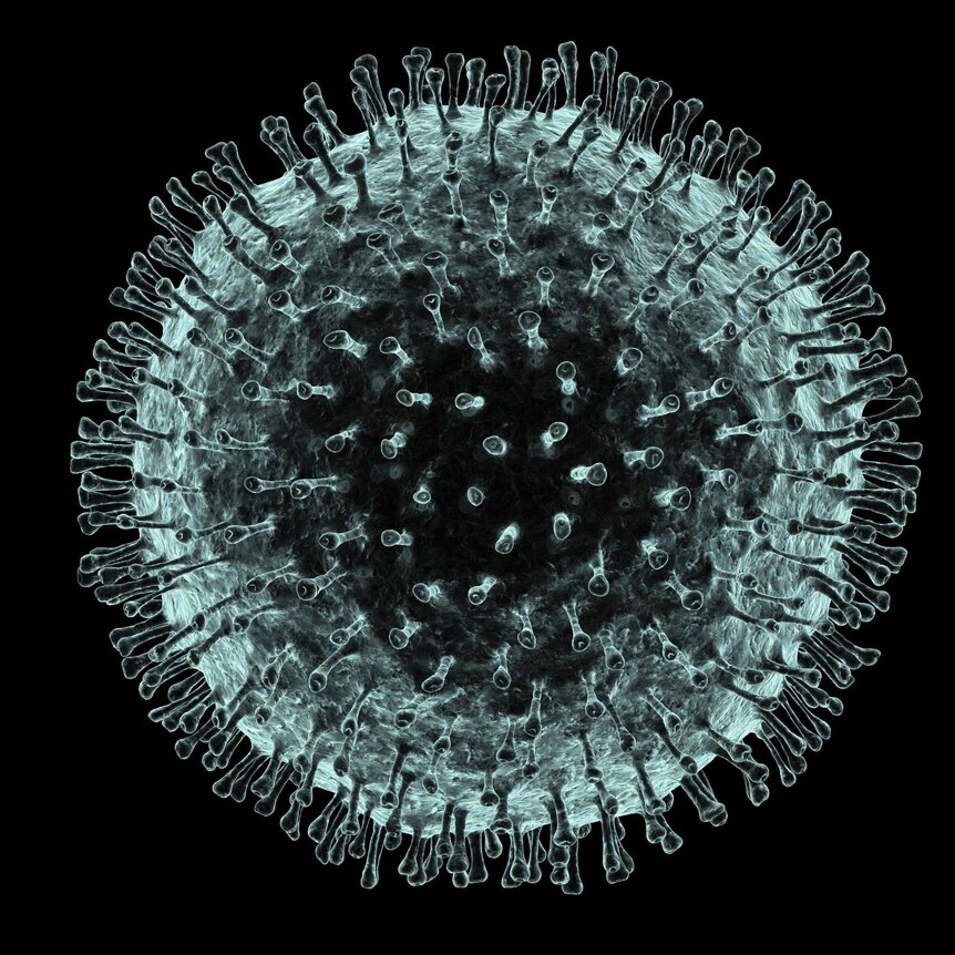 A computer artwork of a spherical virus particle covered in tiny protrusions.