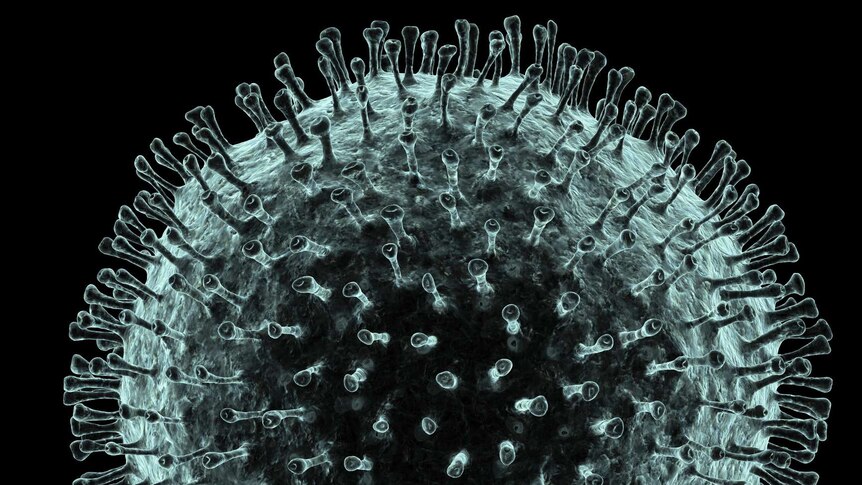 A computer artwork of a spherical virus particle covered in tiny protrusions.