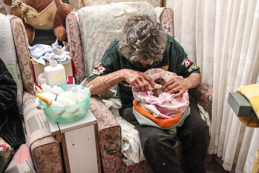 A woman feeds a baby kangaroo