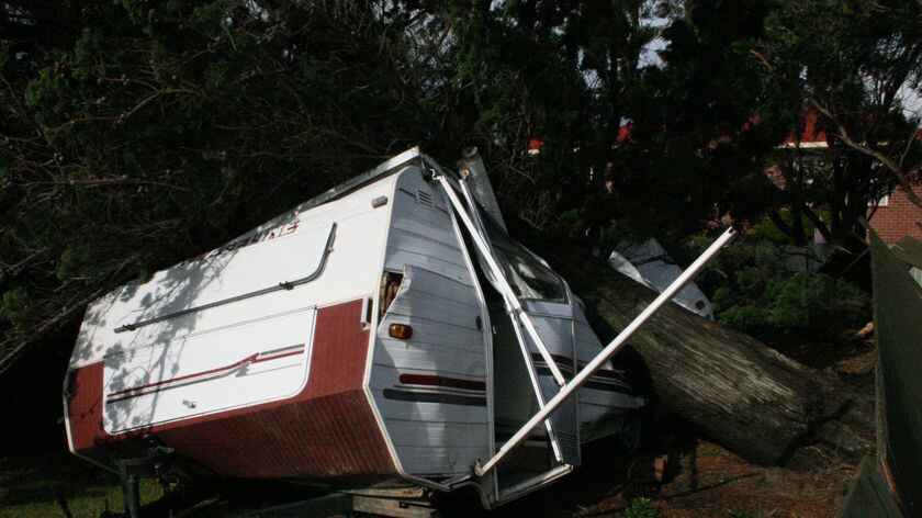 Caravan crushed by tree during wild storms at Wynyard