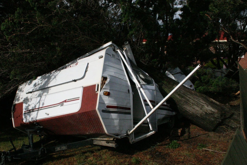 Caravan crushed by tree during wild storms at Wynyard