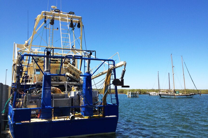 Trawlers are currently fishing in Shark Bay