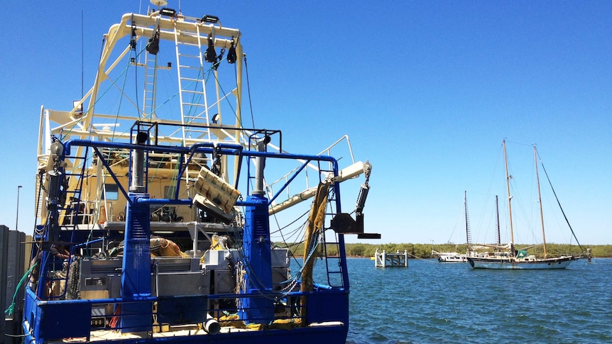 Trawlers are currently fishing in Shark Bay