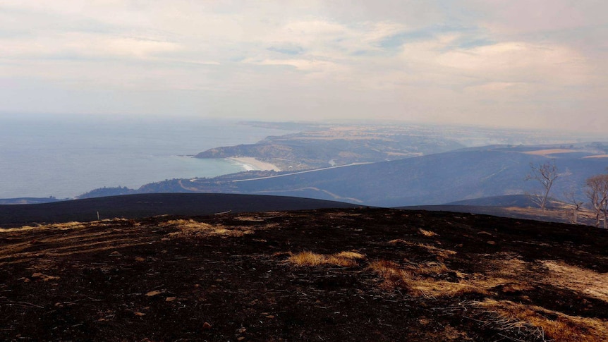 Burnt hillsides along the coast of Kangaroo Island.