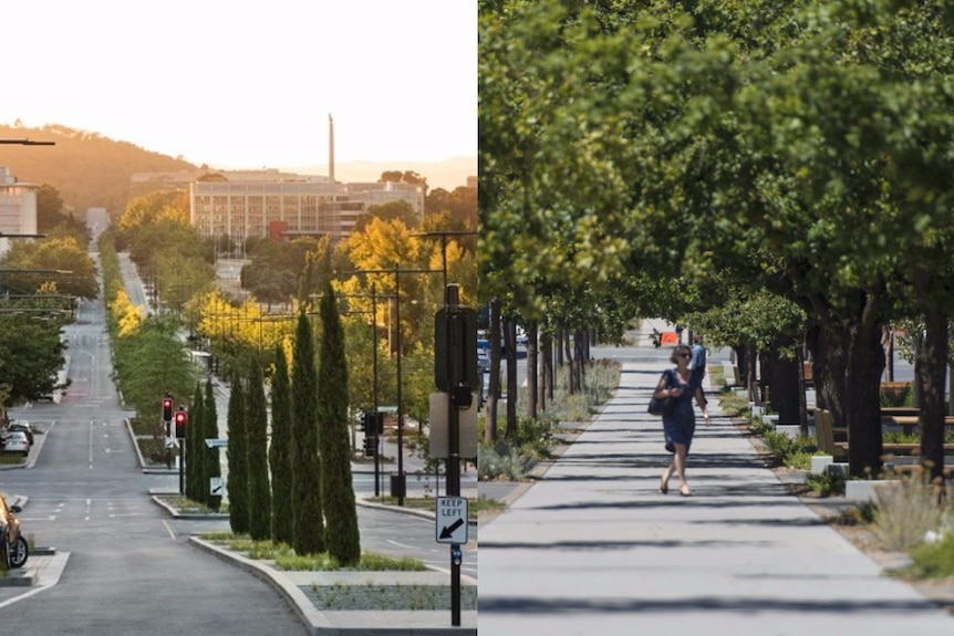 View of boulevard linking City Hill to Russell, with traffic lights and pine trees in the foreground.