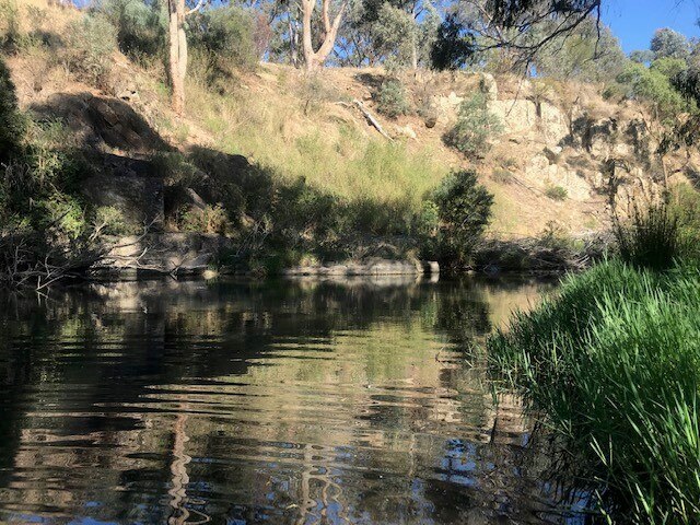 A creek with gumtrees along the bank on a sunny day.