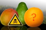 A graphic of mango, avocado and orange with a toxic chemical sign and question marked superimposed over the orange.