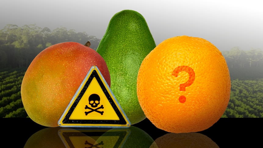 A graphic of mango, avocado and orange with a toxic chemical sign and question marked superimposed over the orange.