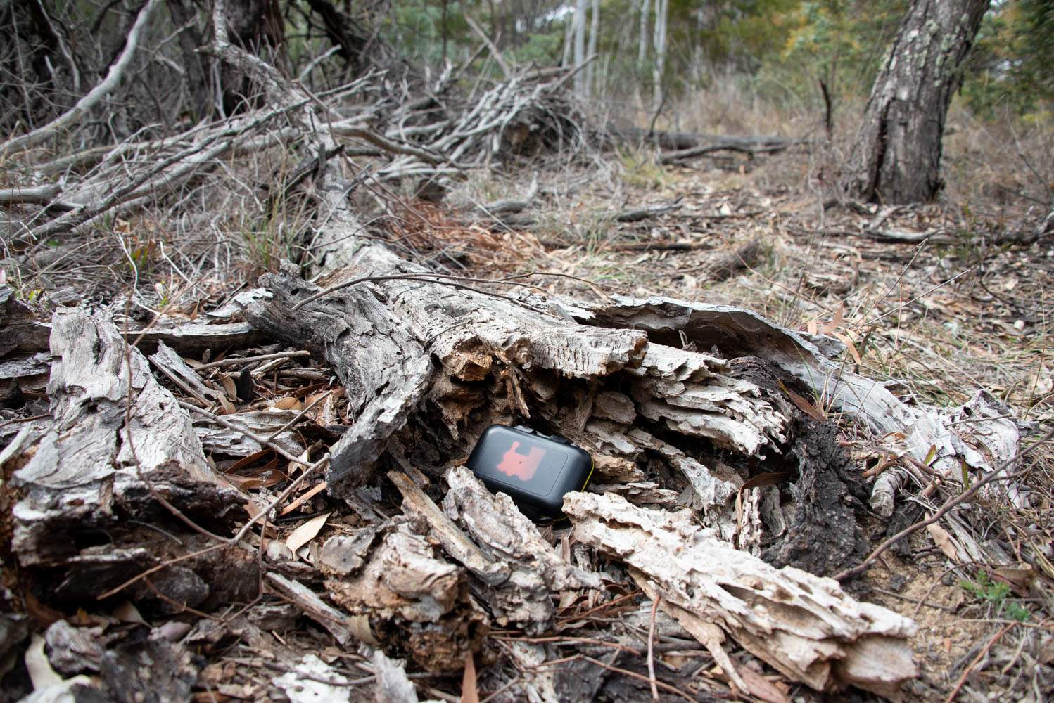 Geocaching is the outdoor treasure hunt taking people out of their ...