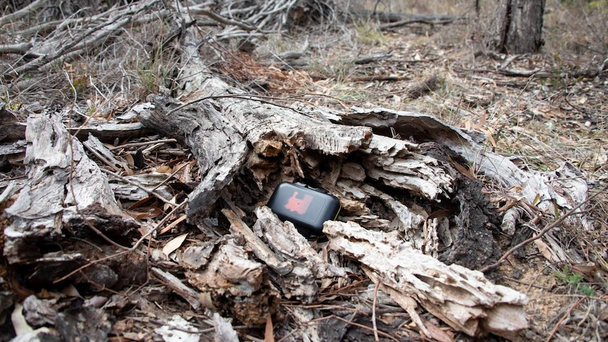 Geocache hidden in a hollow log