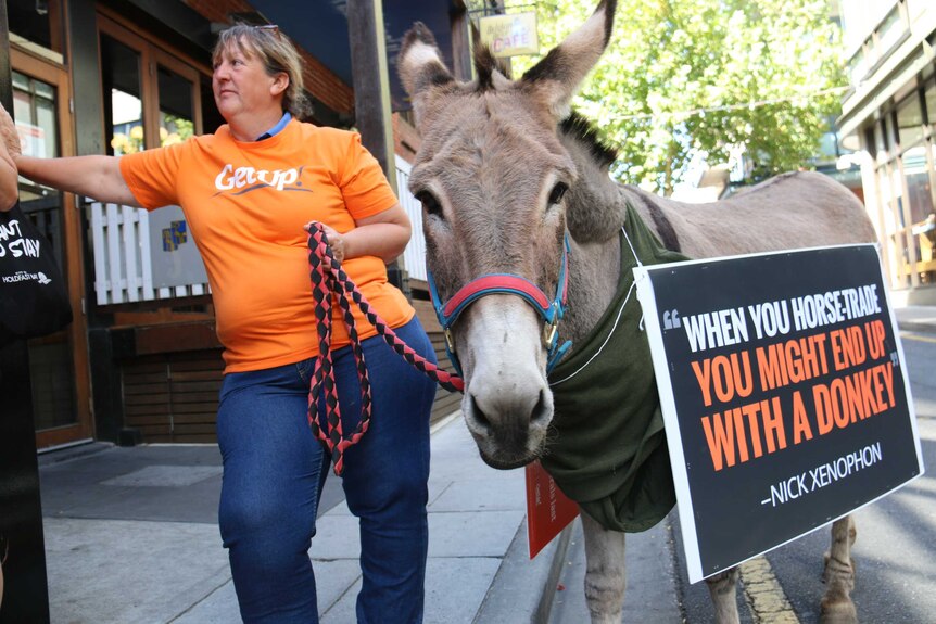 Woman holds a donkey with sign on the animal.