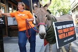 Woman holds a donkey with sign on the animal.