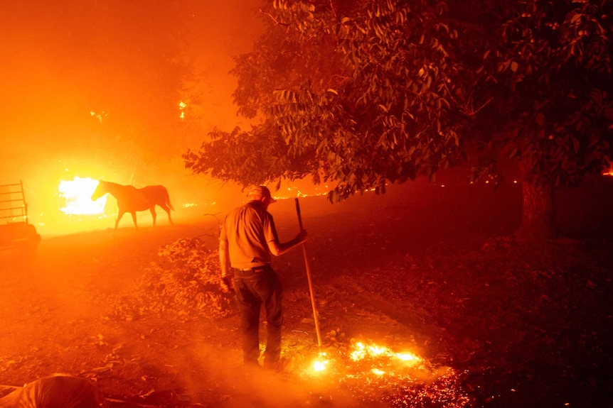 A man holds a stick in the orange glow of a fire as a horse is seen running the background.