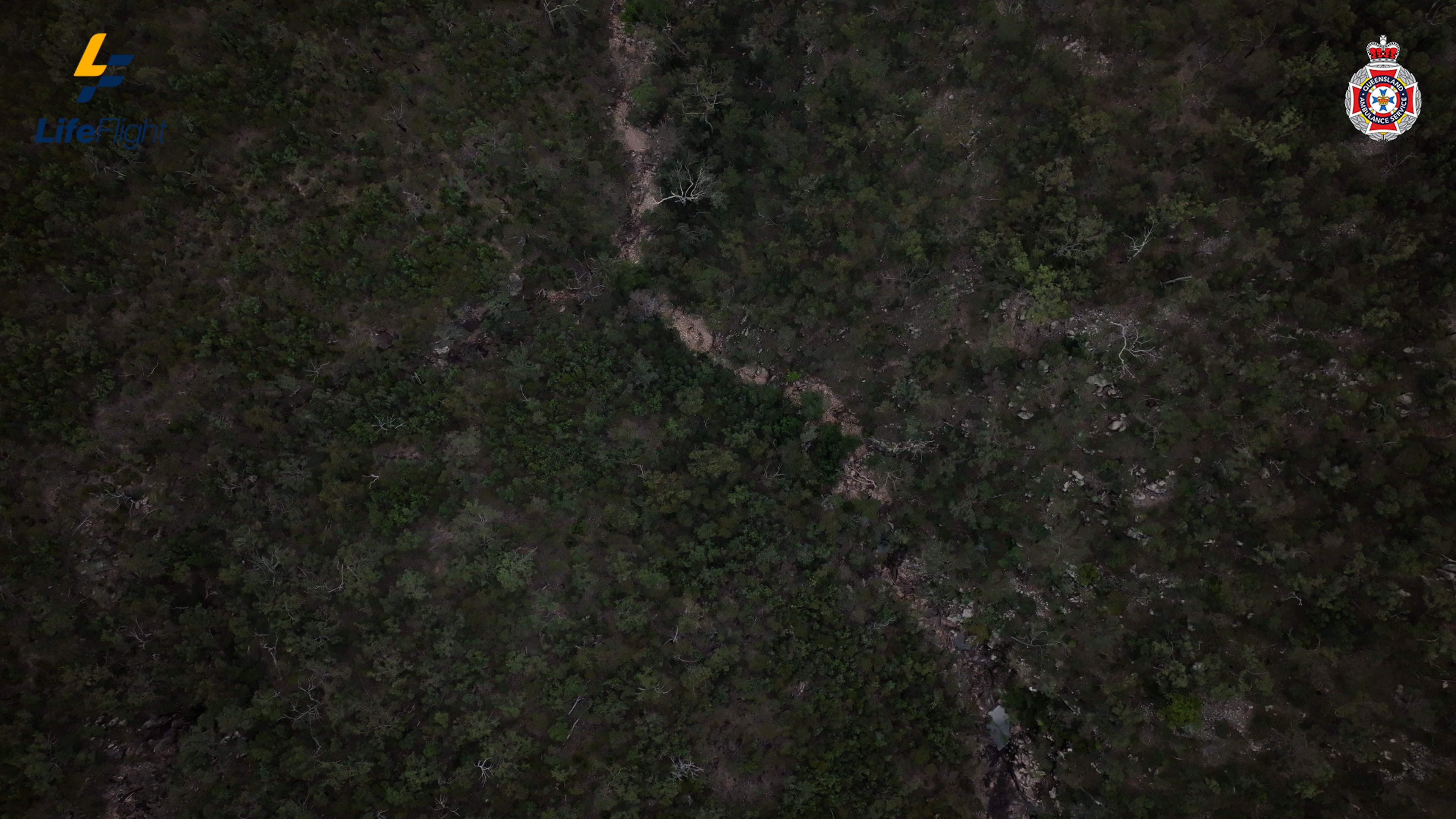 Arvoredo denso e escuro visto de cima.