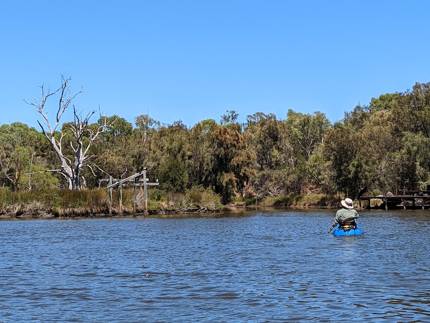 Trees and shrubs along riverbank with water and kayaker in foreground