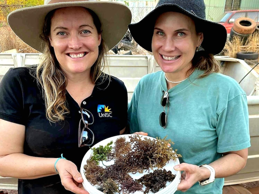 Two women stand side by side holding a plate of different seaweed varieties.