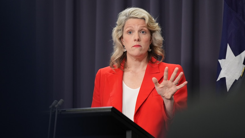 Clare O’Neil speaks during a press conference at Parliament House.