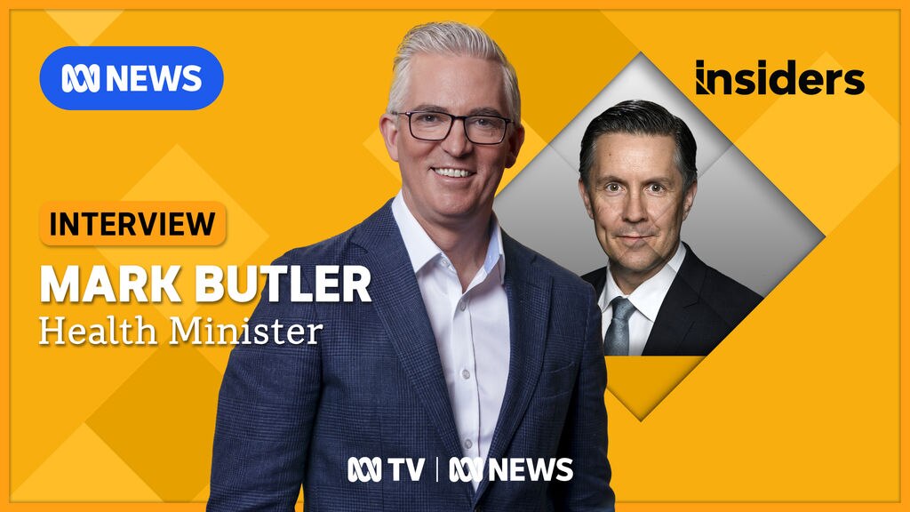 Interview with Mark Butler - ABC News