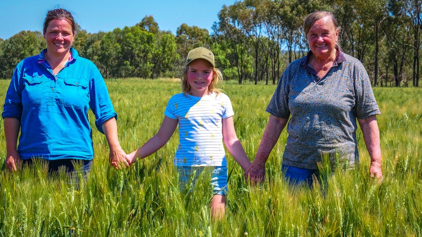 Two women and a small girl walk though a crop