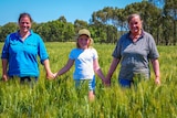 Two women and a small girl walk though a crop