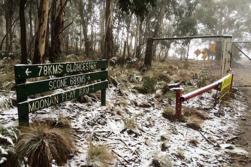 Bushland and a sign sprinkled in light snow.