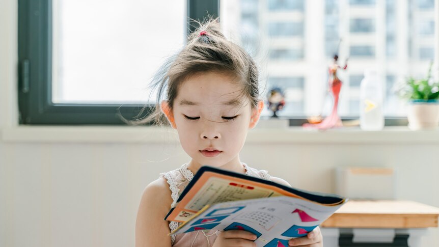 Young girl reading book