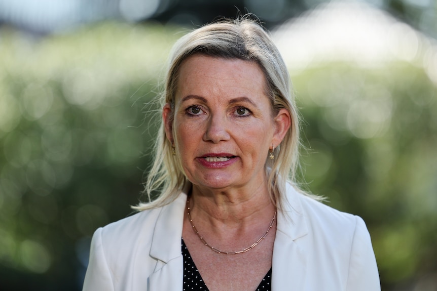 a woman talking to the press outdoors