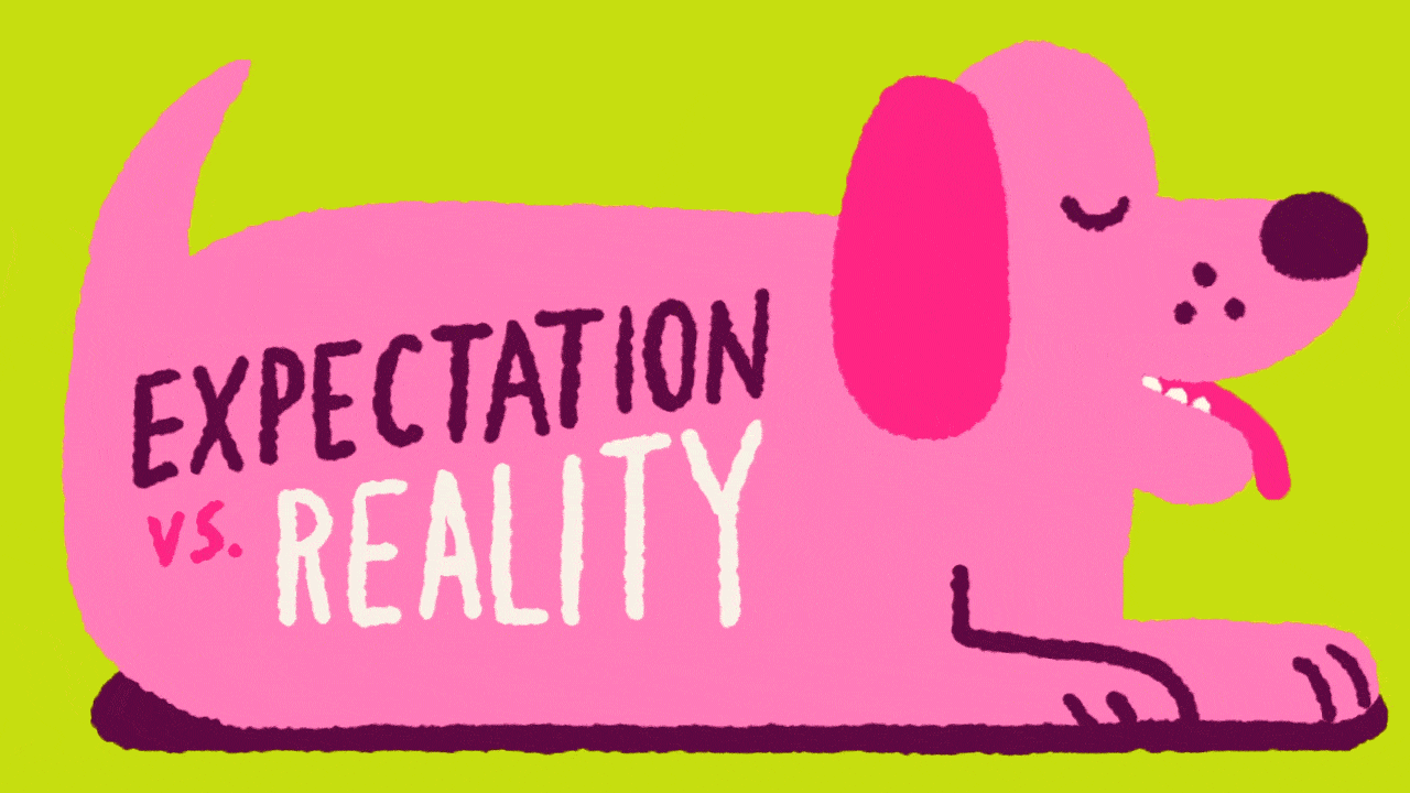 A pink dog sits and pants with its tongue lolling as a title appears on its body, expectations vs. reality.