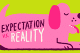 A pink dog sits and pants with its tongue lolling as a title appears on its body, expectations vs. reality.