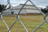 A close up of a chain link fence, with a grassy field and shed in the distance.