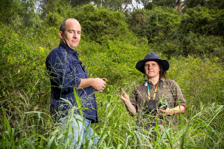 Ian Turnbull and Eva Twarkowski stand in the bush.