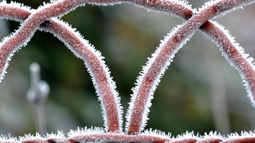 Frost icicles cling to a gate on a winter's morning.