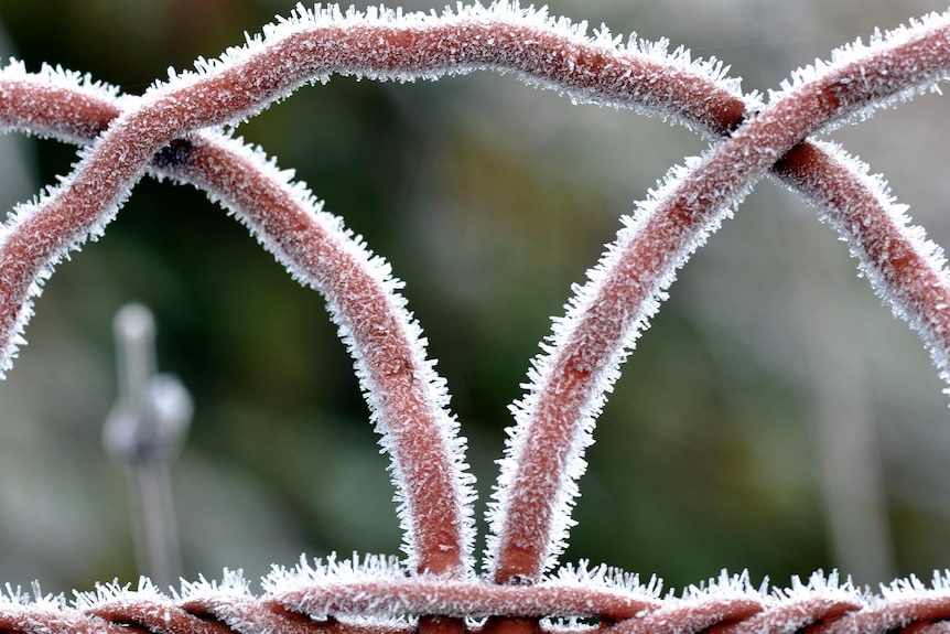 Frost icicles cling to a gate on a winter's morning.