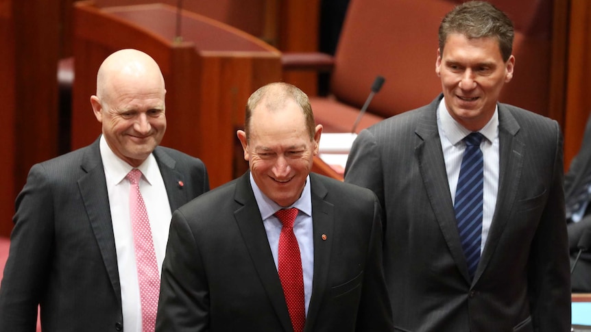 Senators Bernadi and Leyonhjelm accompany Senator Anning to be sworn in to the Senate.