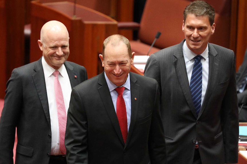 Senators Bernadi and Leyonhjelm accompany Senator Anning to be sworn in to the Senate.