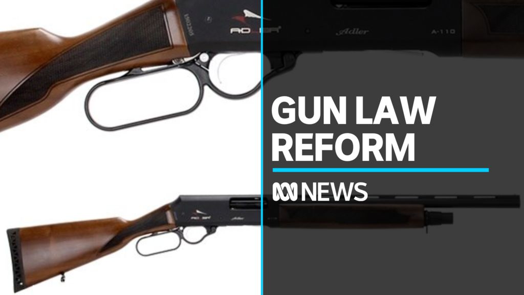 Fears Tasmania S Proposed Law Reform Could Make Some Firearms More   48637bf9e879cc7350e522145185bb5f