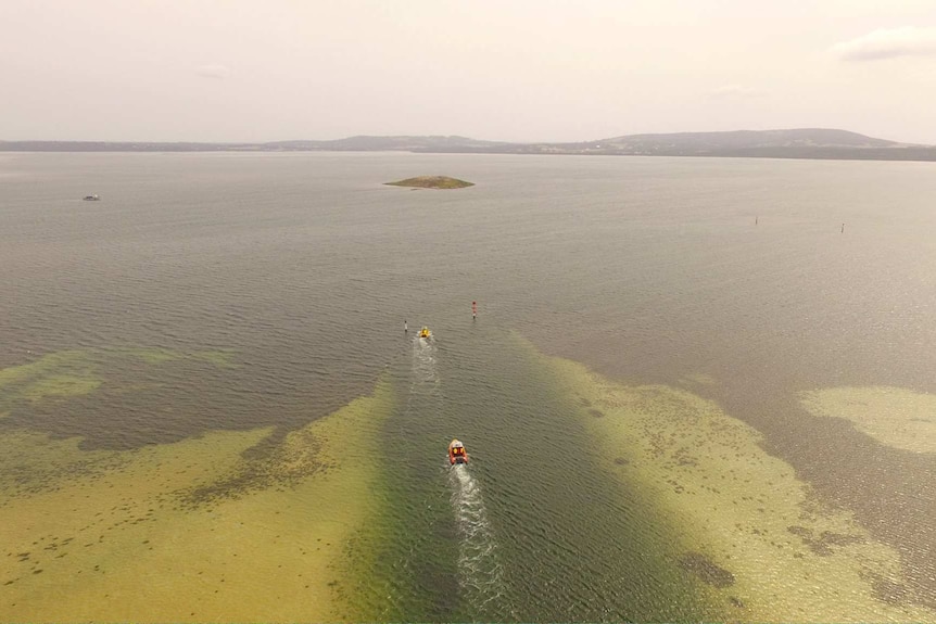 An aerial view of the Albany coastline captured by a drone.