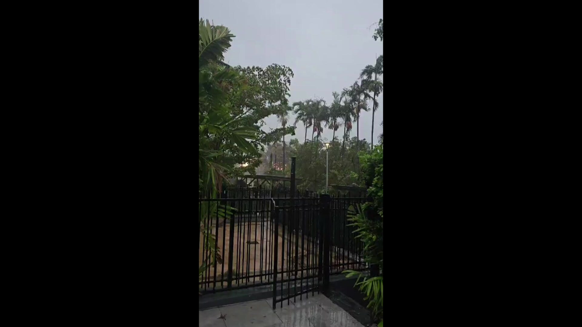 A power line has been ripped apart and sparked in Darwin during ...