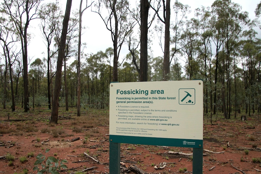 Sign in ironbark forest reads Fossicking Area: Fossicking is permitted in this state forest general permission area(s).