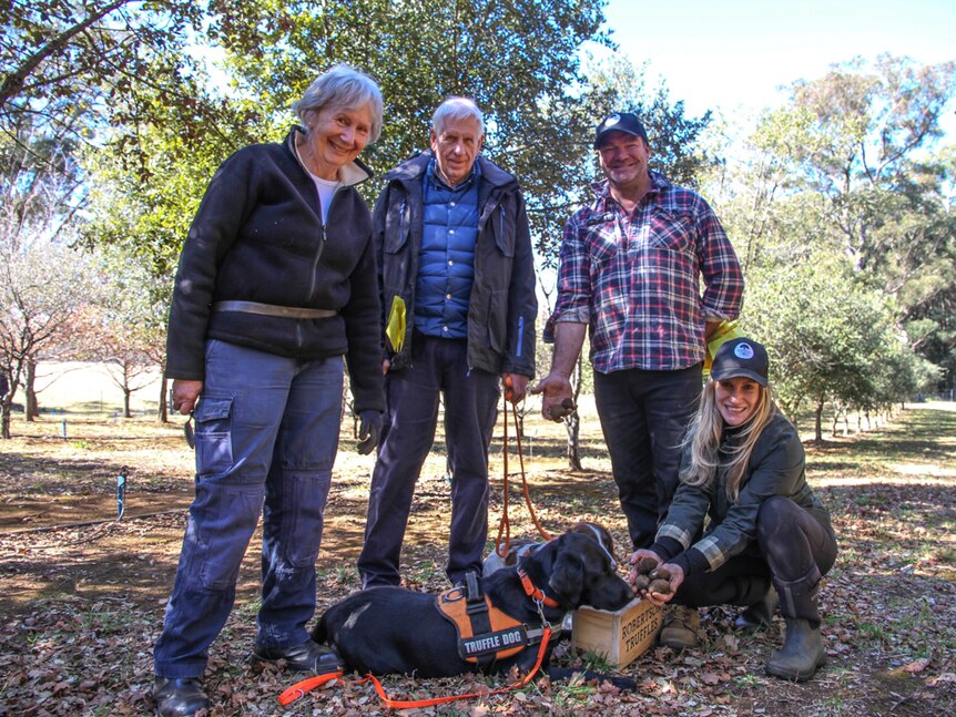 A team of four people and two dogs go in search of truffles.