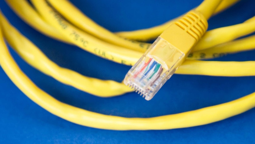 A yellow ethernet cable wrapped on top of a blue background.