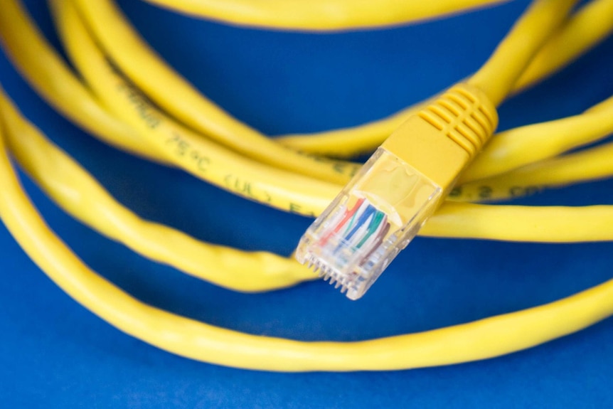A yellow ethernet cable wrapped on top of a blue background.