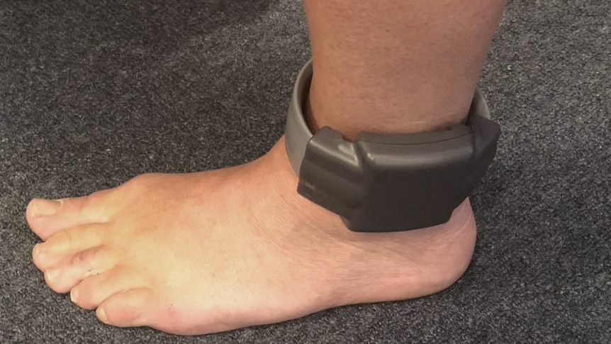 Ankle-worn GPS tracking device.