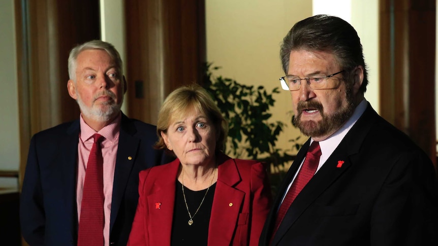 Bruce and Denise Morcombe, parents of Daniel, look on at senator Derryn Hinch as he speaks into a microphone at a presser